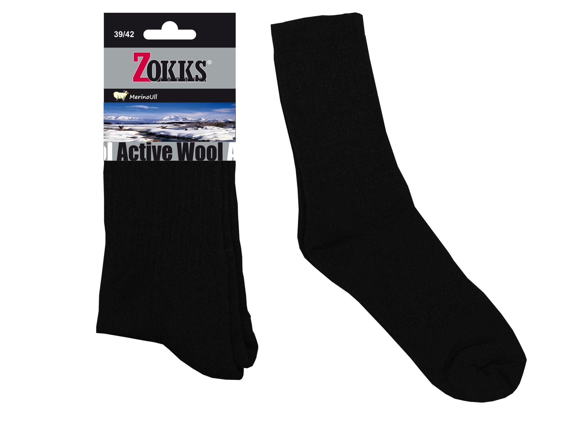 Zokks – Active Hosur