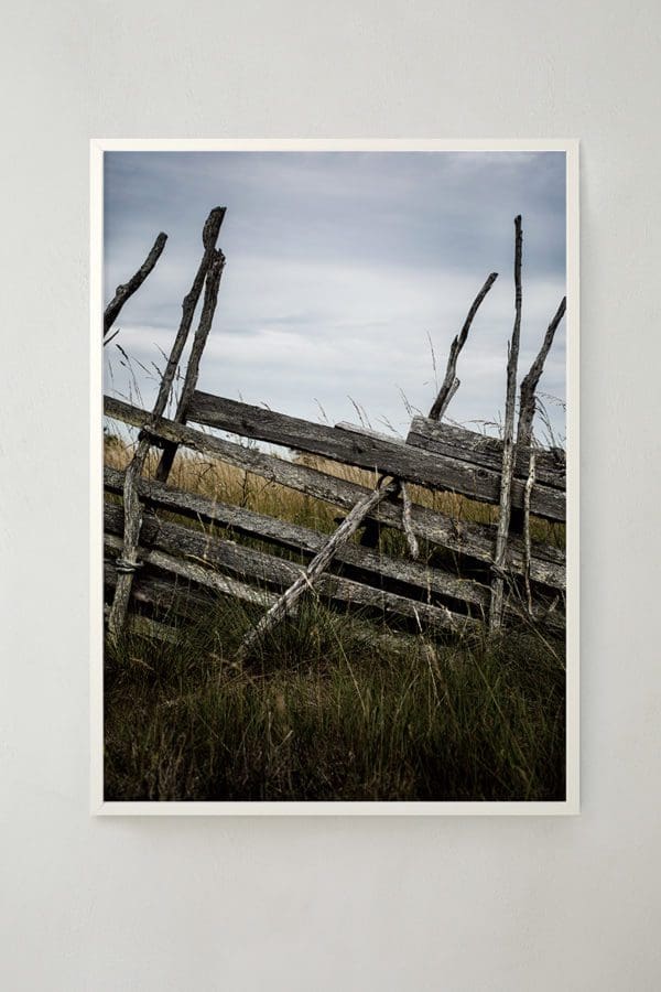 Field-Fence_ram_1200px-600x900.jpg