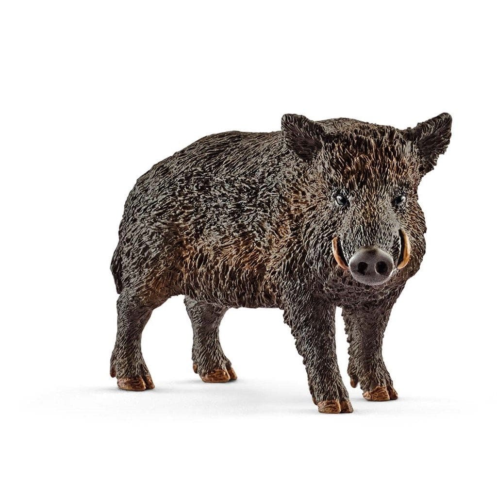 Schleich Wild Boar