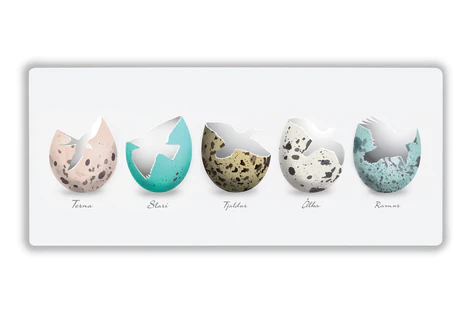 Skeribretti – Fuglaegg 17×40 Cm