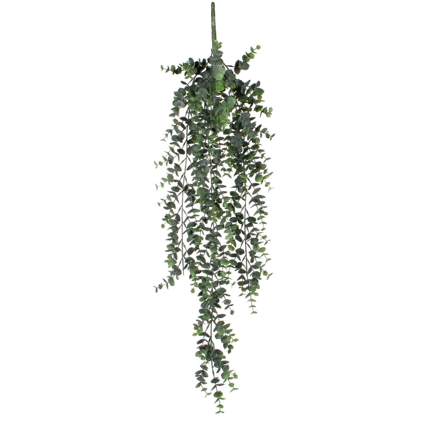 Eucalyptus, Hangandi – 78X22X5Cm