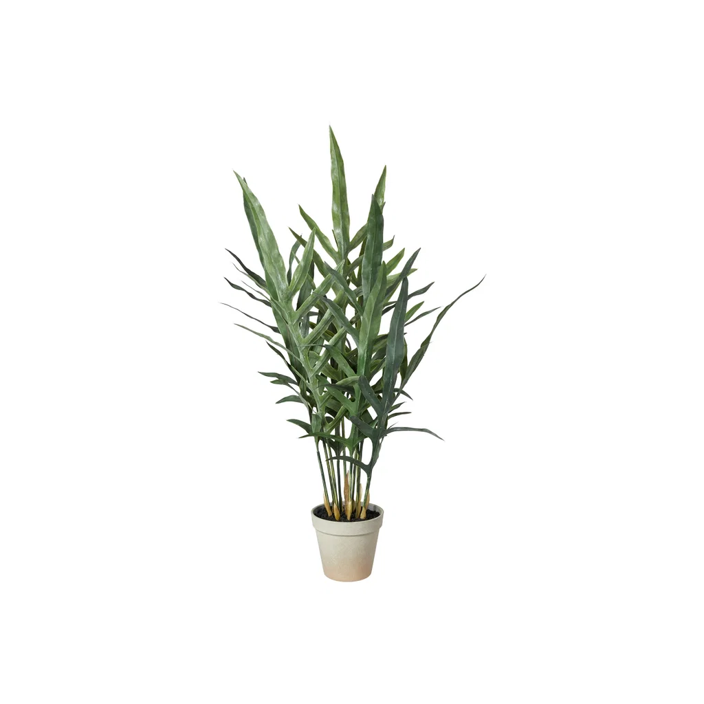 Trøllakambur Í Potti H: 66Cm