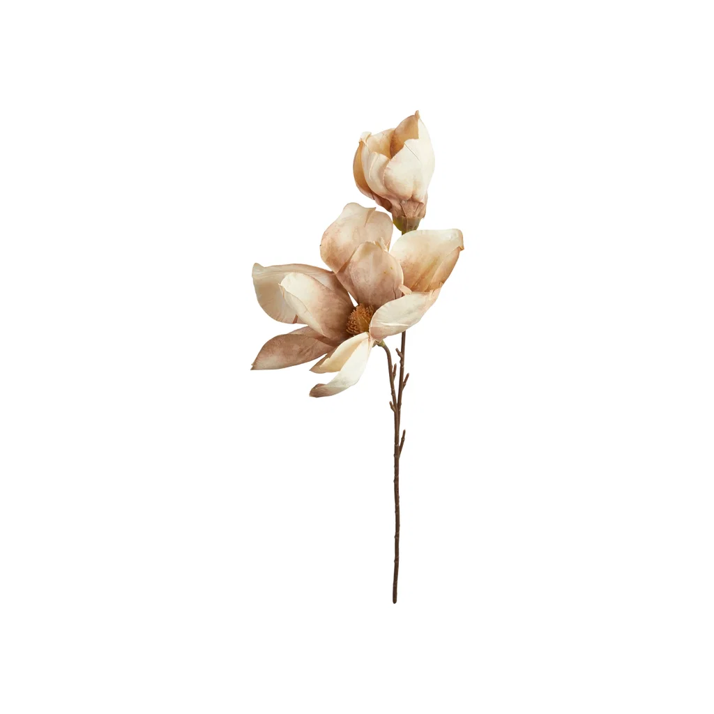 Magnolia Stilk 50Cm, Rosa