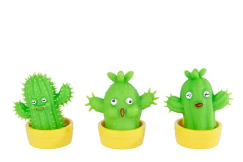 Kaktus 10 Cm – 3 Variantar